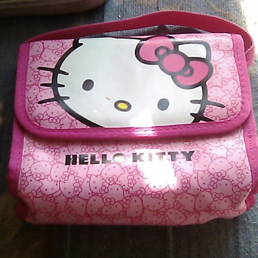 Ds case